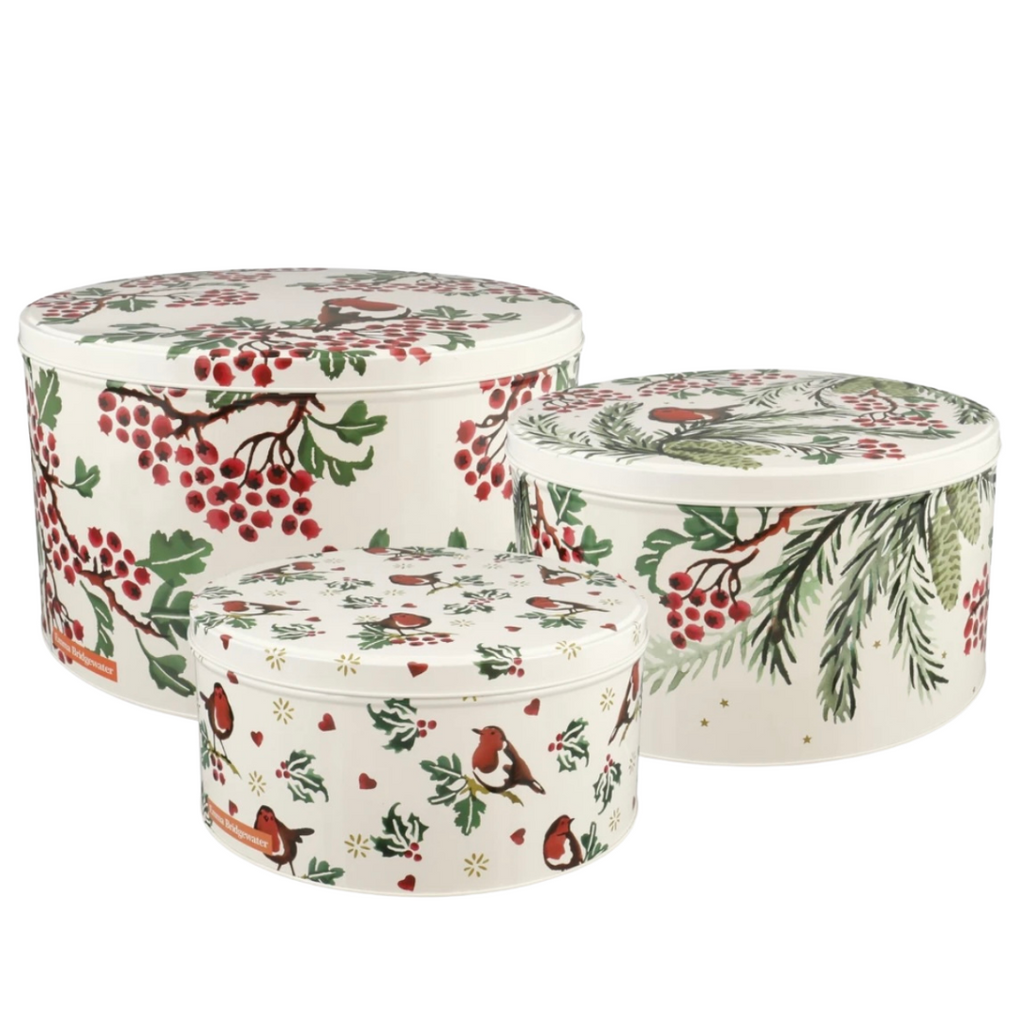 Christmas cake 2025 tins storage