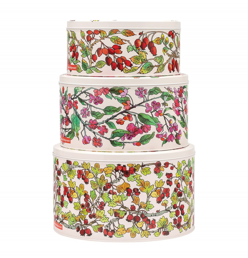 Cake Storage Tin - Birds in Hedgerow 19cm (Small) Round - by Emma Bridgewater